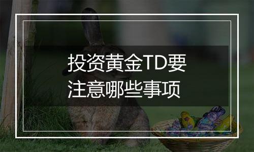 投资黄金TD要注意哪些事项