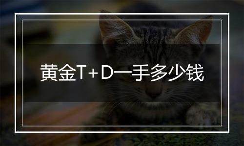 黄金T+D一手多少钱
