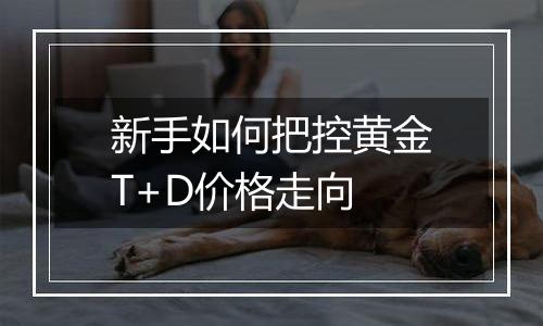 新手如何把控黄金T+D价格走向