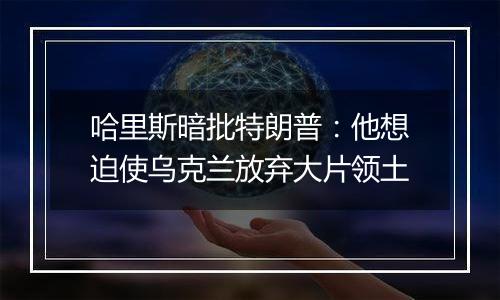 哈里斯暗批特朗普:他想迫使乌克兰放弃大片领土