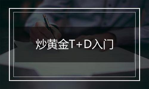 炒黄金T+D入门