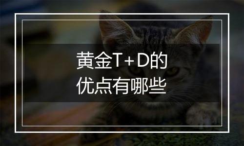 黄金T+D的优点有哪些