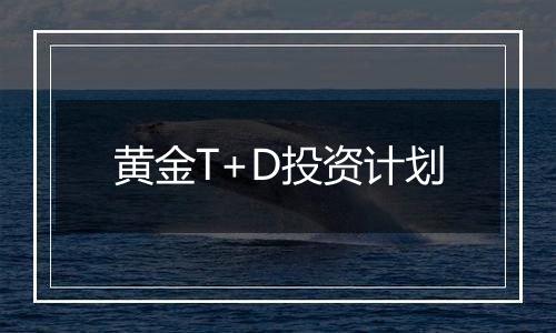 黄金T+D投资计划
