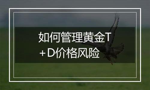 如何管理黄金T+D价格风险