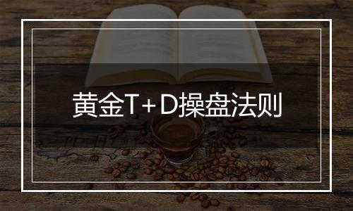 黄金T+D操盘法则