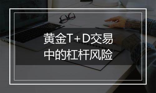 黄金T+D交易中的杠杆风险