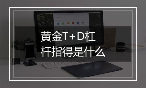 黄金T+D杠杆指得是什么