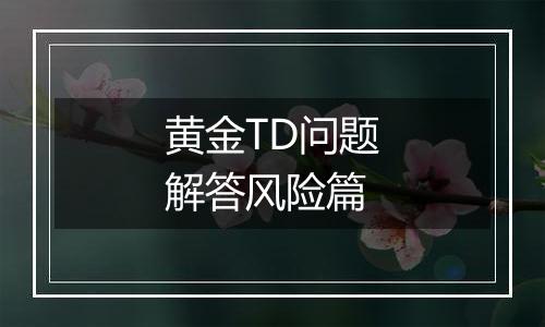黄金TD问题解答风险篇