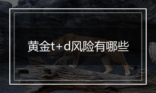 黄金t+d风险有哪些