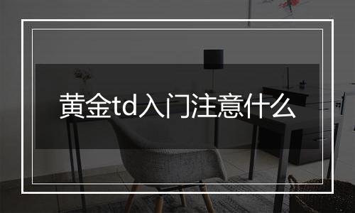 黄金td入门注意什么