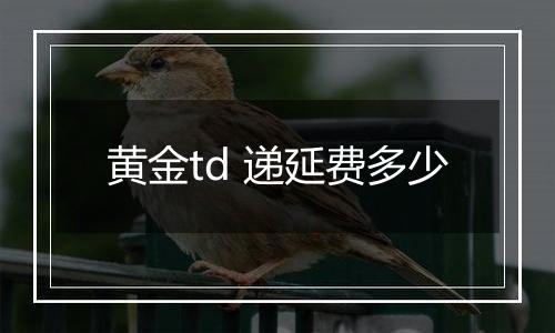 黄金td 递延费多少