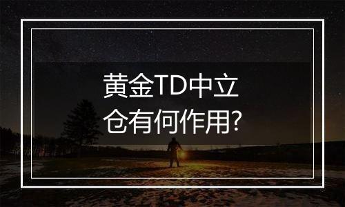 黄金TD中立仓有何作用?