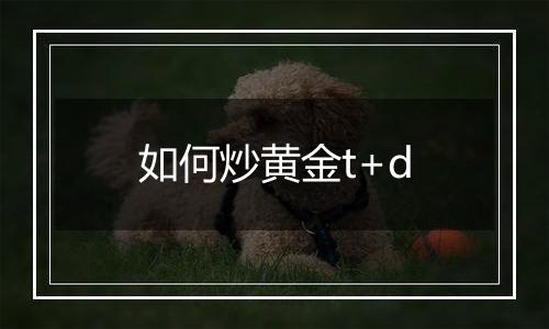 如何炒黄金t+d