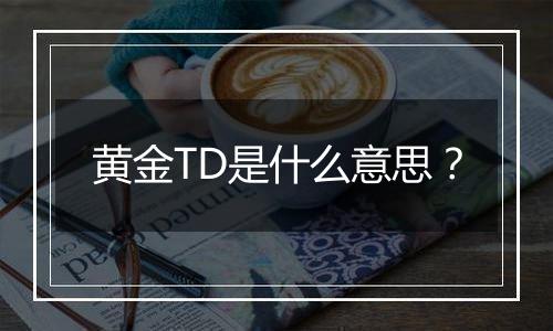 黄金TD是什么意思?