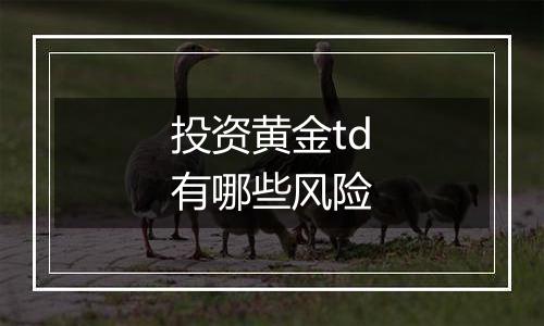 投资黄金td有哪些风险