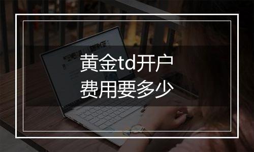黄金td开户费用要多少
