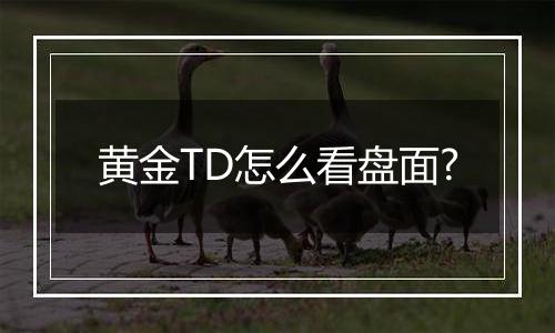黄金TD怎么看盘面?
