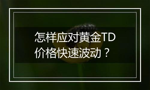 怎样应对黄金TD价格快速波动？