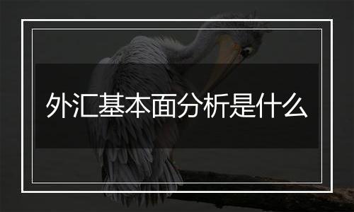 外汇基本面分析是什么