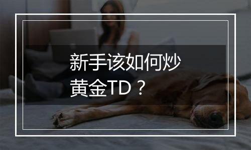 新手该如何炒黄金TD?