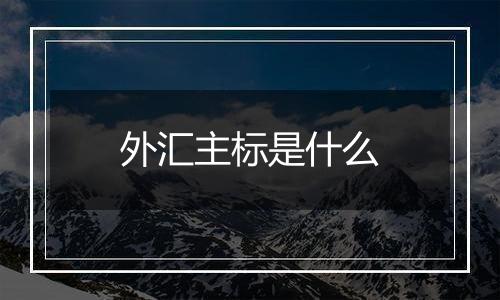 外汇主标是什么