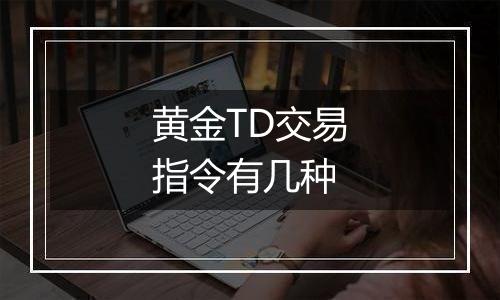 黄金TD交易指令有几种