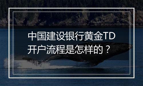 中国建设银行黄金TD开户流程是怎样的?
