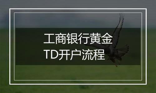 工商银行黄金TD开户流程