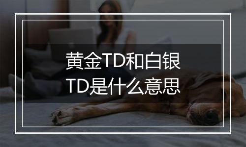 黄金TD和白银TD是什么意思