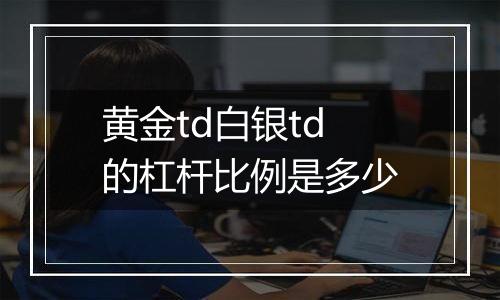 黄金td白银td的杠杆比例是多少