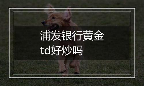 浦发银行黄金td好炒吗