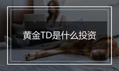 黄金TD是什么投资