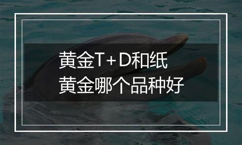 黄金T+D和纸黄金哪个品种好
