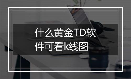 什么黄金TD软件可看k线图