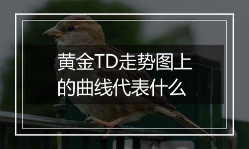 黄金TD走势图上的曲线代表什么
