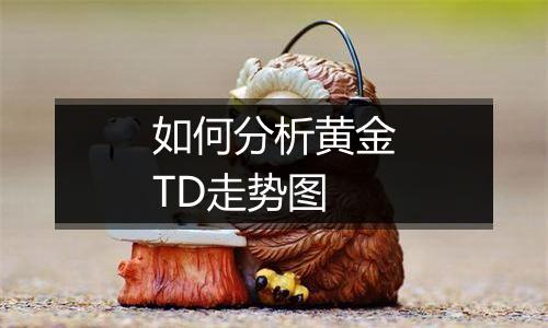 如何分析黄金TD走势图