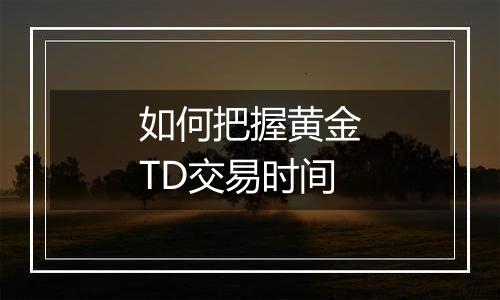 如何把握黄金TD交易时间