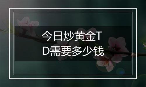 今日炒黄金TD需要多少钱