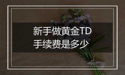 新手做黄金TD手续费是多少