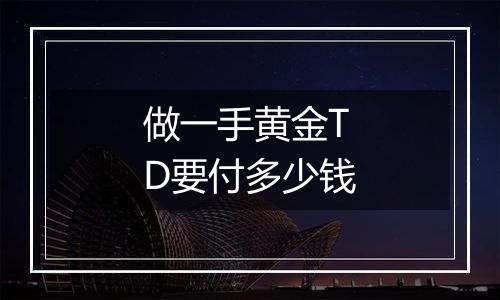 做一手黄金TD要付多少钱