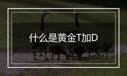 什么是黄金T加D