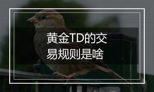 黄金TD的交易规则是啥