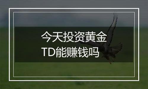 今天投资黄金TD能赚钱吗