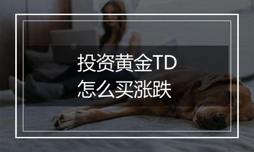 投资黄金TD怎么买涨跌