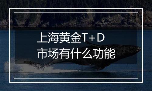 上海黄金T+D市场有什么功能