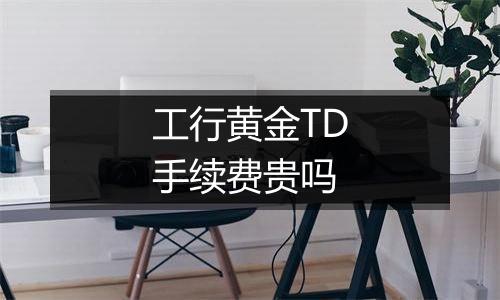 工行黄金TD手续费贵吗
