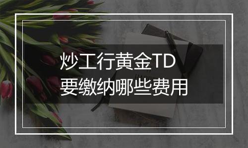 炒工行黄金TD要缴纳哪些费用