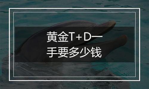 黄金T+D一手要多少钱