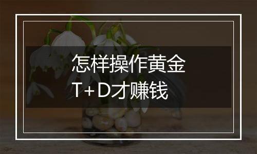 怎样操作黄金T+D才赚钱