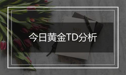 今日黄金TD分析